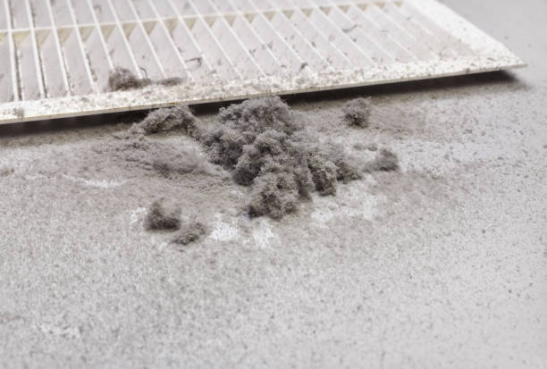 Best HVAC Maintenance and Cleaning  in Grape Creek, TX