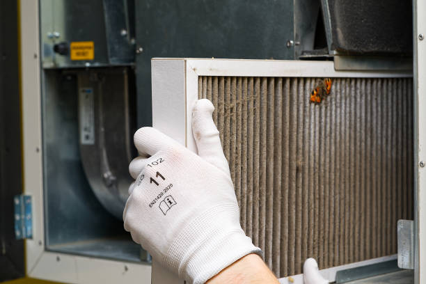 Best Professional Duct Cleaning Services  in Grape Creek, TX